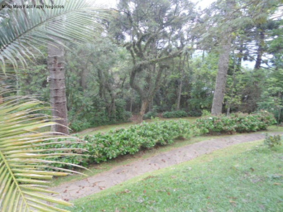 Imagem Terreno à Venda, 3 m² em Vale Verde - Nova Petrópolis Imagem Terreno à Venda, 3 m² em Vale Verde - Nova Petrópolis