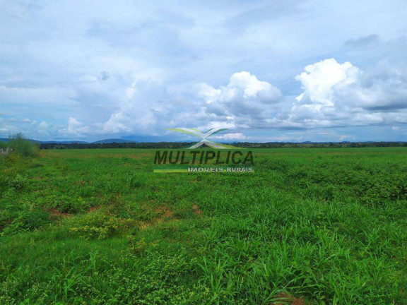 Imagem Fazenda à Venda, 740 m² em Talismã