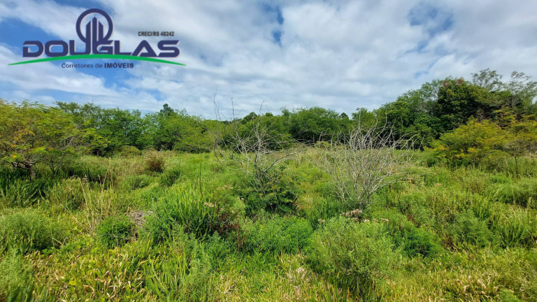 Imagem Chácara à Venda, 20.000 m² em águas Claras - Viamão Imagem Chácara à Venda, 20.000 m² em águas Claras - Viamão