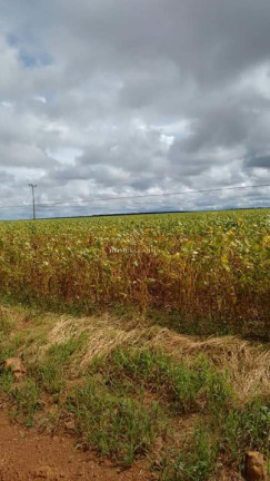 Imagem Imóvel com 3 Quartos à Venda, 47.000 m² em Zona Rural - Conceição Do Araguaia Imagem Imóvel com 3 Quartos à Venda, 47.000 m² em Zona Rural - Conceição Do Araguaia