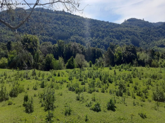 Imagem Terreno à Venda, 8 m² em Linha Temerária - Nova Petrópolis Imagem Terreno à Venda, 8 m² em Linha Temerária - Nova Petrópolis