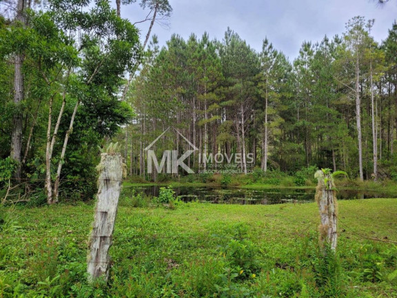 Imagem Chácara com 2 Quartos à Venda, 90 m² em Monte Alegre - Quatro Barras Imagem Chácara com 2 Quartos à Venda, 90 m² em Monte Alegre - Quatro Barras