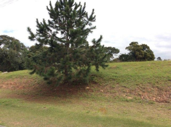 Imagem Terreno à Venda, 500 m² em Santa Adélia - Vargem Grande Paulista