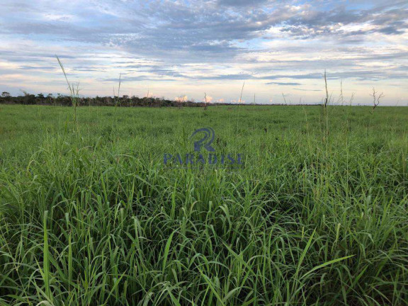 Imagem Fazenda à Venda, 15.000.000 m² em Zona Rural - Santa Rita De Cássia
