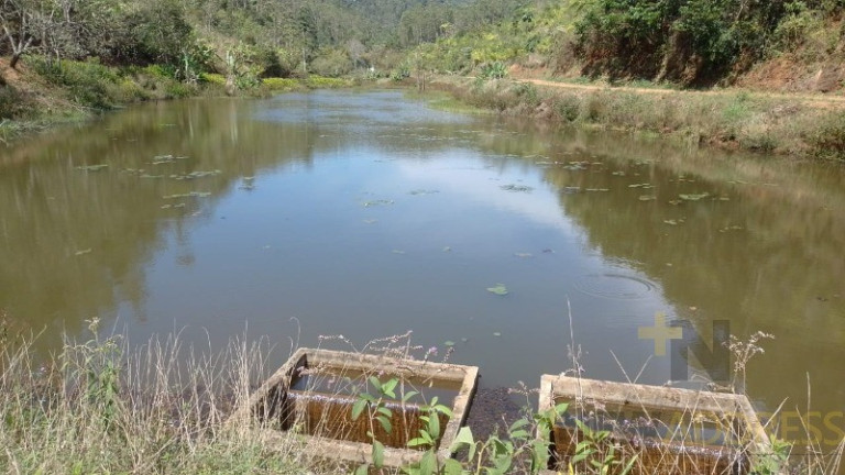 Imagem Imóvel com 1 Quarto à Venda, 20.000 m² em Marechal Floriano - Marechal Floriano