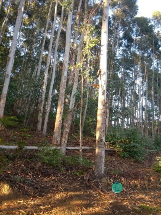 Imagem Imóvel com 2 Quartos à Venda, 50.000 m² em Zona Rural - Alfredo Wagner