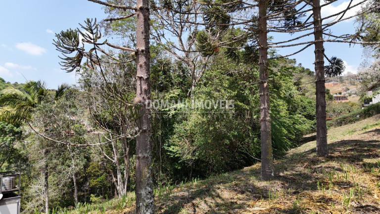 Imagem Terreno à Venda, 1.215 m² em Região De Santo Antônio Do Pinhal - Santo Antônio Do Pinhal Imagem Terreno à Venda, 1.215 m² em Região De Santo Antônio Do Pinhal - Santo Antônio Do Pinhal