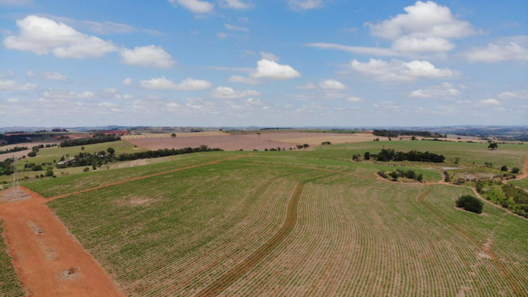 Imagem Fazenda à Venda, 307 m² em Rural - Tatuí Imagem Fazenda à Venda, 307 m² em Rural - Tatuí