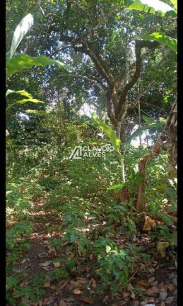 Imagem Terreno à Venda, 13.000 m² em Br 324 - Amélia Rodrigues Imagem Terreno à Venda, 13.000 m² em Br 324 - Amélia Rodrigues