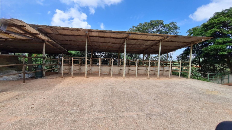 Imagem Chácara com 4 Quartos à Venda, 26.000 m² em água Comprida - Bragança Paulista