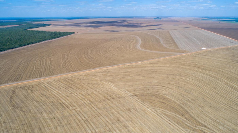 Imagem Fazenda à Venda, 3.000 m² em Zona Rural - Nova Maringá Imagem Fazenda à Venda, 3.000 m² em Zona Rural - Nova Maringá
