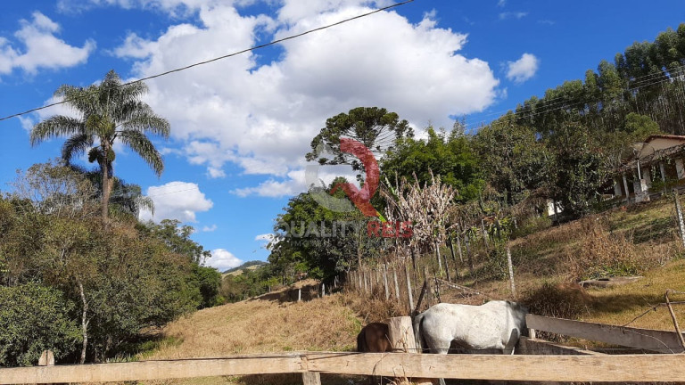 Imagem Imóvel com 6 Quartos à Venda, 250 m² em Centro - Pedra Bela