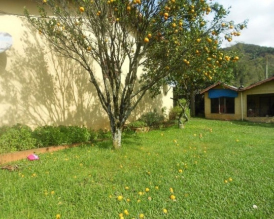 Imagem Casa com 3 Quartos à Venda, 160 m² em Pinhal Alto - Nova Petrópolis