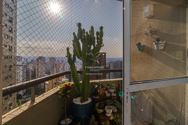 Imagem Apartamento com 2 Quartos à Venda, 91 m² em Morumbi - São Paulo Imagem Apartamento com 2 Quartos à Venda, 91 m² em Morumbi - São Paulo