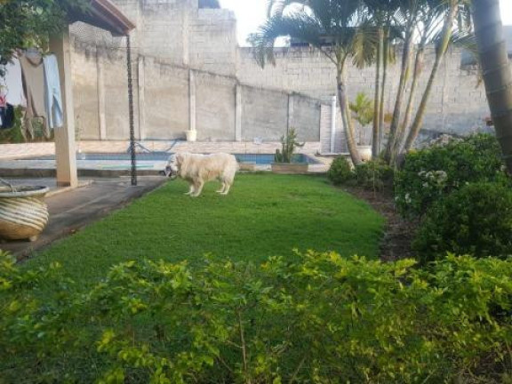 Imagem Casa com 6 Quartos à Venda, 350 m² em Ibirapitanga - Santa Isabel