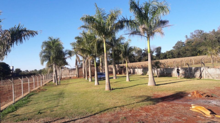 Imagem Imóvel à Venda, 2.300 m² em Gleba Fazenda Palhano - Londrina Imagem Imóvel à Venda, 2.300 m² em Gleba Fazenda Palhano - Londrina