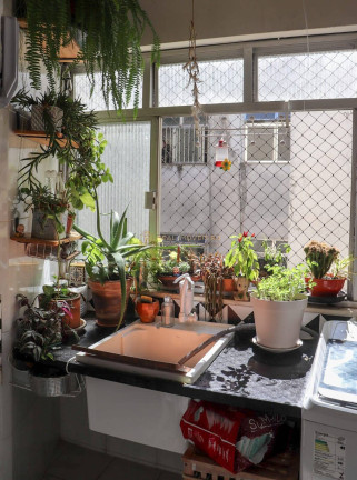 Imagem Apartamento com 3 Quartos à Venda, 100 m² em Tijuca - Rio De Janeiro