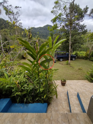 Imagem Casa com 2 Quartos à Venda, 150 m² em Boiçucanga - São Sebastião