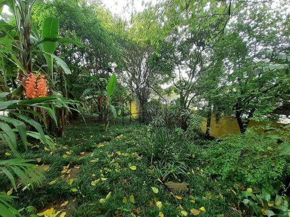 Imagem Terreno à Venda, 250 m² em Vila Santo Antônio - Cotia