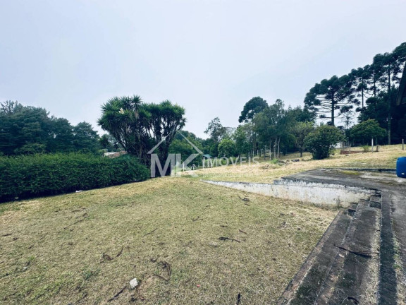 Imagem Chácara com 3 Quartos à Venda, 407 m² em Borda Do Campo (quatro Barras) Imagem Chácara com 3 Quartos à Venda, 407 m² em Borda Do Campo (quatro Barras)