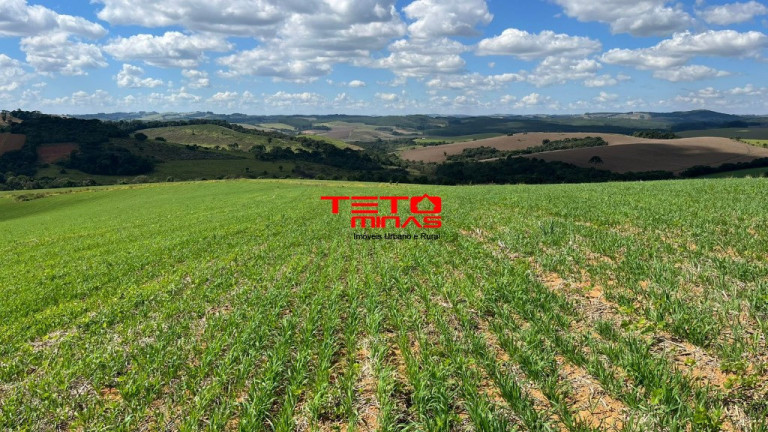 Imagem Imóvel à Venda, em Zona Rural De Zona Rural De Ipuiuna - São Lourenço Imagem Imóvel à Venda, em Zona Rural De Zona Rural De Ipuiuna - São Lourenço