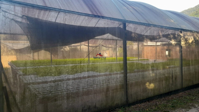 Imagem Terreno à Venda, 363 m² em São João Do Rio Vermelho - Florianópolis Imagem Terreno à Venda, 363 m² em São João Do Rio Vermelho - Florianópolis