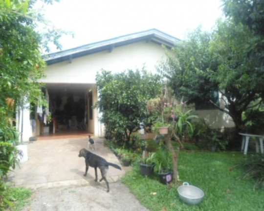Imagem Casa com 3 Quartos à Venda, 143 m² em Vale Verde - Nova Petrópolis