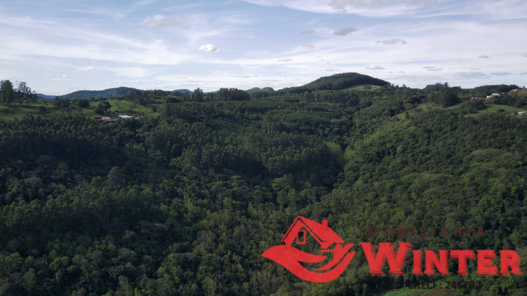 Imagem Chácara à Venda, 70 m² em Morro Grande - Linha Nova Imagem Chácara à Venda, 70 m² em Morro Grande - Linha Nova