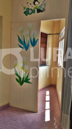 Imagem Apartamento com 3 Quartos para Alugar, 70 m² em Vila Maria - São Paulo Imagem Apartamento com 3 Quartos para Alugar, 70 m² em Vila Maria - São Paulo