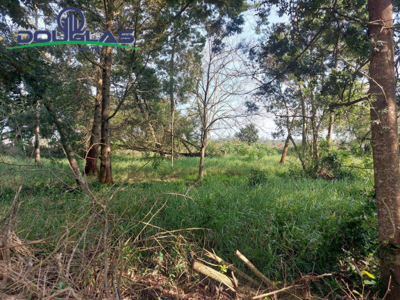 Imagem Terreno à Venda, 700 m² em Viamão Imagem Terreno à Venda, 700 m² em Viamão