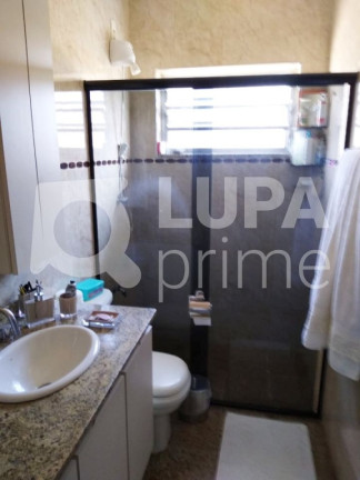 Imagem Casa com 3 Quartos à Venda, 320 m² em Vila Maria Alta - São Paulo