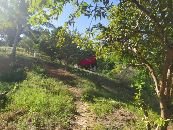 Imagem Chácara com 1 Quarto à Venda, 2.335 m² em São Caetano - Italva