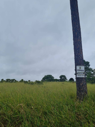 Imagem Chácara à Venda, 2.740 m² em Chacaras Reunidas - Pilar Do Sul Imagem Chácara à Venda, 2.740 m² em Chacaras Reunidas - Pilar Do Sul