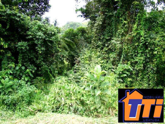 Terreno à Venda, 6.000 m² em Ubatumirim - Ubatuba