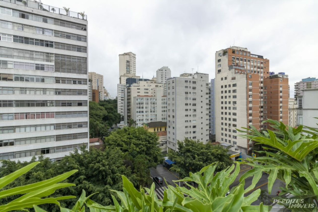 Imagem Apartamento com 3 Quartos à Venda, 239 m² em Higienópolis - São Paulo Imagem Apartamento com 3 Quartos à Venda, 239 m² em Higienópolis - São Paulo