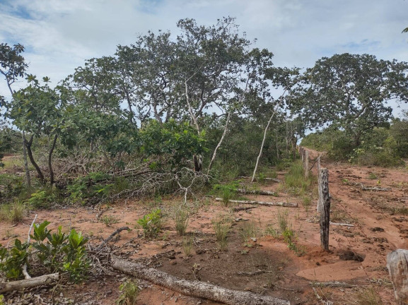 Imagem Fazenda à Venda, 75 m² em Uberlândia Imagem Fazenda à Venda, 75 m² em Uberlândia