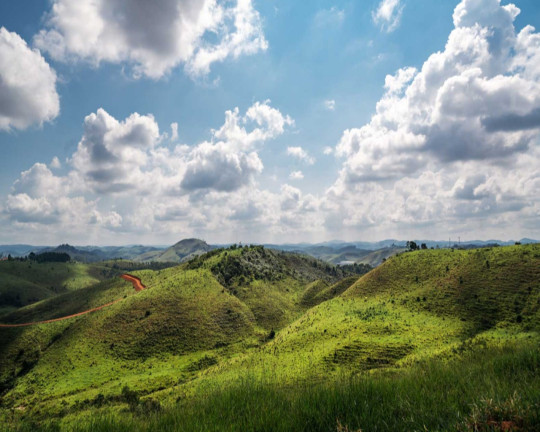 Imagem Imóvel à Venda, 20.000 m² em Br 040 - Juiz De Fora Imagem Imóvel à Venda, 20.000 m² em Br 040 - Juiz De Fora