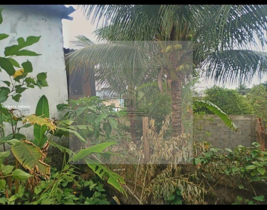 Imagem Casa com 3 Quartos à Venda, 300 m² em Vila Margarida - Itaguaí