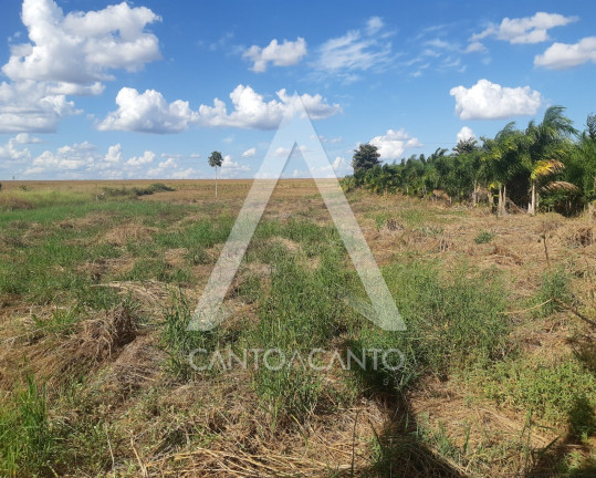 Imagem Imóvel com 1 Quarto à Venda, 9.600 m² em Comunidade Nossa Senhora De Fátima - Sinop Imagem Imóvel com 1 Quarto à Venda, 9.600 m² em Comunidade Nossa Senhora De Fátima - Sinop