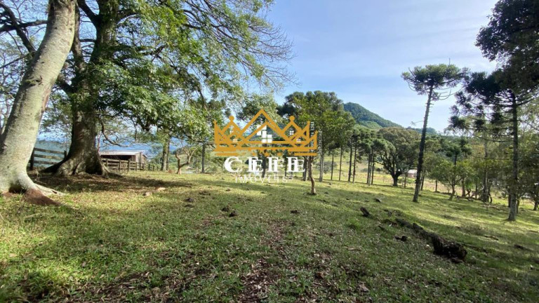 Sala Comercial à Venda, 20 m² em Zona Rural - Igrejinha
