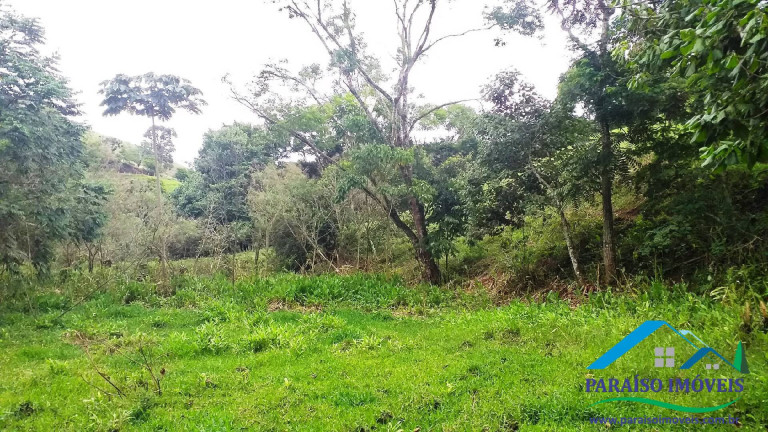 Imagem Chácara à Venda, 7 m² em Centro - Paraisópolis Imagem Chácara à Venda, 7 m² em Centro - Paraisópolis