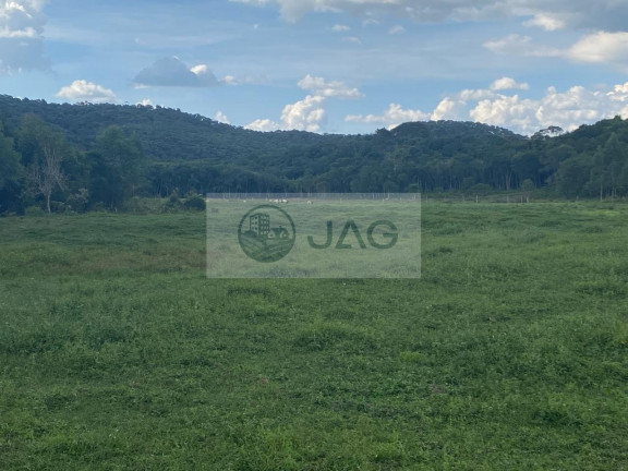 Imagem Imóvel com 6 Quartos à Venda, 3.000 m² em Distrito Industrial - Campina Grande Do Sul Imagem Imóvel com 6 Quartos à Venda, 3.000 m² em Distrito Industrial - Campina Grande Do Sul