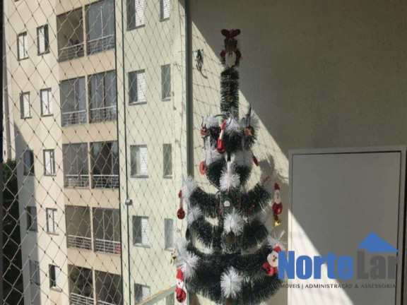 Imagem Apartamento com 2 Quartos à Venda, 50 m² em Vila Amélia - São Paulo