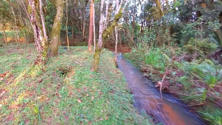 Imagem Imóvel à Venda, 32.800 m² em Ambrósio - Tijucas Do Sul