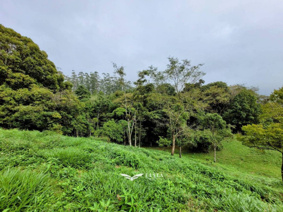 Imagem Chácara à Venda, 24.900 m² em Três Rios Do Norte - Jaraguá Do Sul