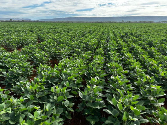 Imagem Fazenda à Venda, 9.700 m² em Rural - Pontes E Lacerda Imagem Fazenda à Venda, 9.700 m² em Rural - Pontes E Lacerda