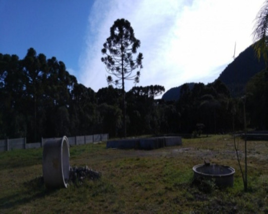 Imagem Terreno à Venda, 750 m² em Linha Araripe - Nova Petrópolis