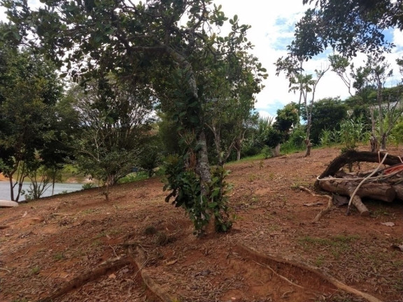 Imagem Chácara com 8 Quartos à Venda, 300 m² em Freitas - São José Dos Campos Imagem Chácara com 8 Quartos à Venda, 300 m² em Freitas - São José Dos Campos