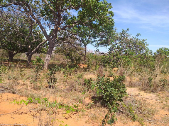 Imagem Fazenda à Venda, 5 m² em Montes Claros Imagem Fazenda à Venda, 5 m² em Montes Claros