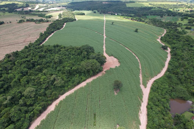Imagem Chácara à Venda, 16 m² em Zona Rural - Cajuru Imagem Chácara à Venda, 16 m² em Zona Rural - Cajuru